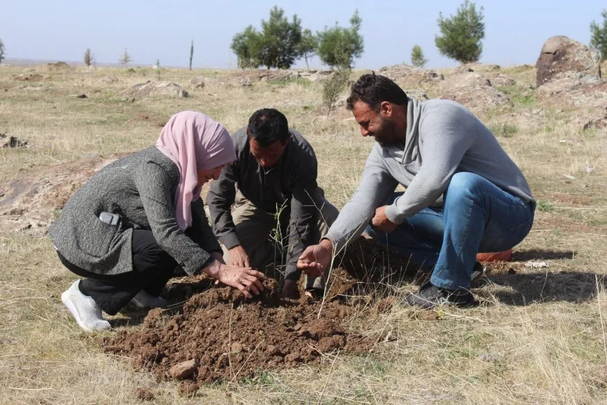 Baxçeyê li bajarokê Abrê dîsa bi daran hêşîn bû