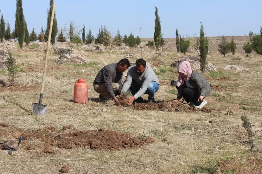 Baxçeyê li bajarokê Abrê dîsa bi daran hêşîn bû