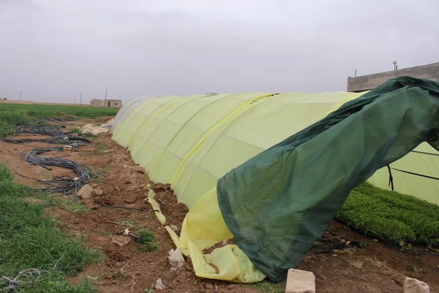 Cotkarên Til Birakê sebzeyên havînê diçînin