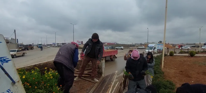 Şaredariya Qamişloyê û Desteya Jîngehê dest bi çandina daran kir