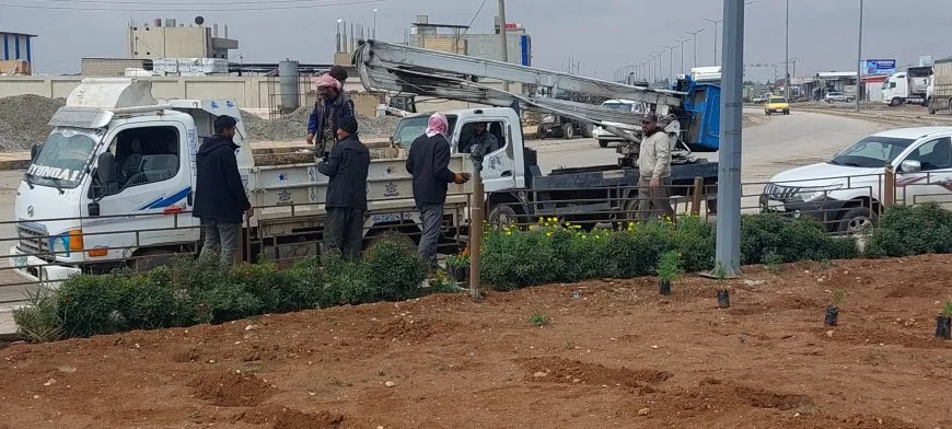 Şaredariya Qamişloyê û Desteya Jîngehê dest bi çandina daran kir