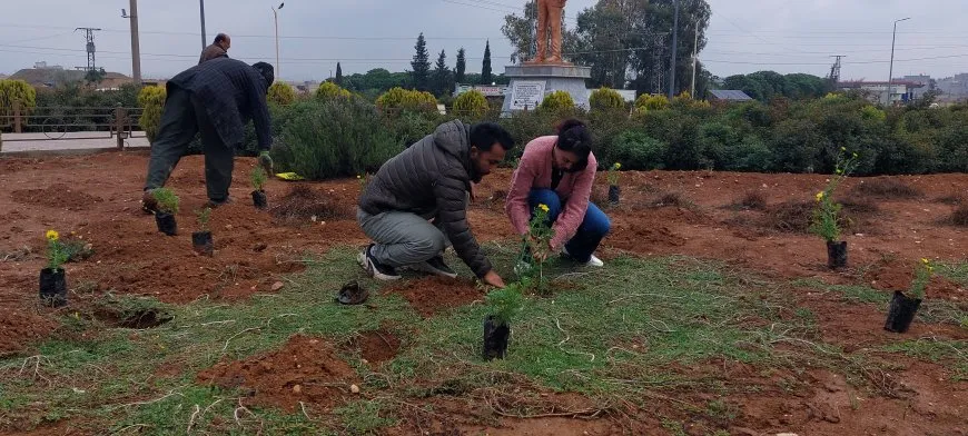 Şaredariya Qamişloyê û Desteya Jîngehê dest bi çandina daran kir