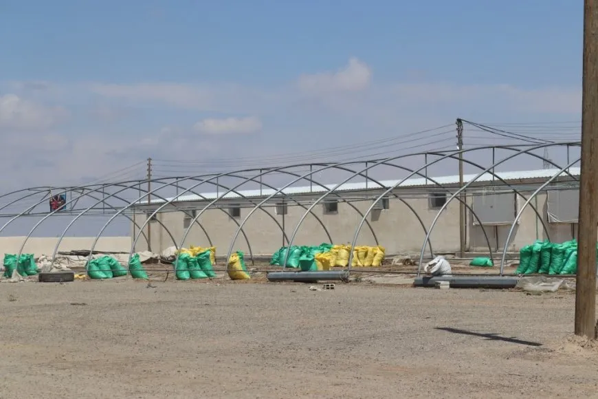 Li Reqayê projeya "înkubatoran"
