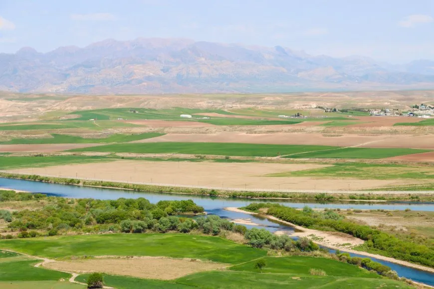 Sêgoşeya di navbera sê paçreyên welat bi rengê biharê geş bû