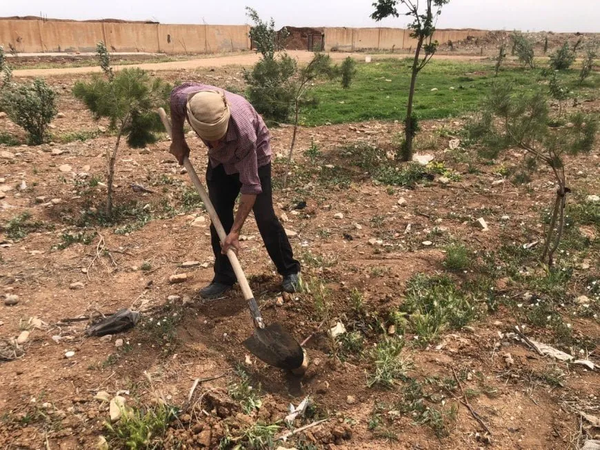 Li Qamişlo 300 şitlên din li şûna çopgehê hatin çandin
