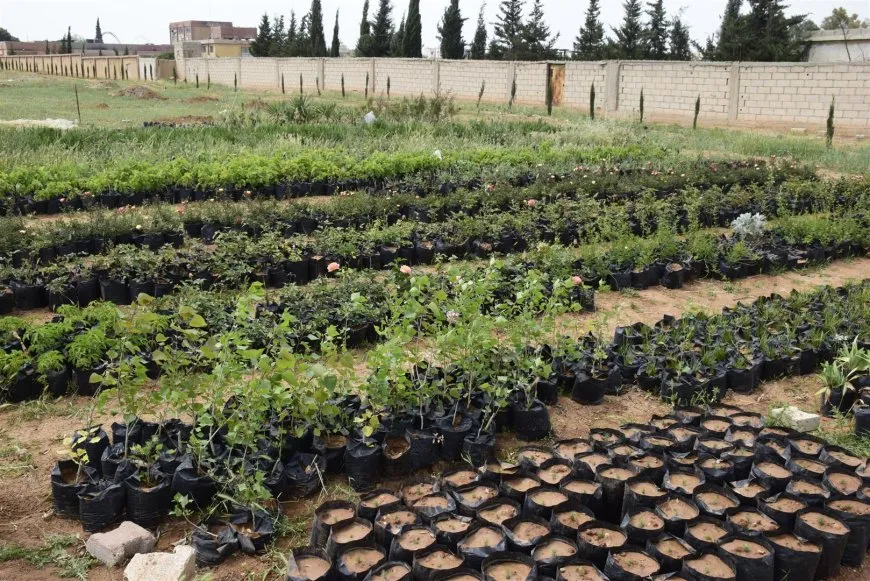 Li Dirbêsiyê qadên hêşîn tên berfirehkirin
