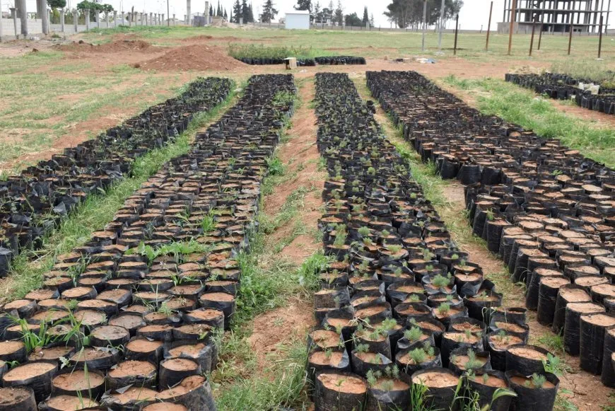 Li Dirbêsiyê qadên hêşîn tên berfirehkirin