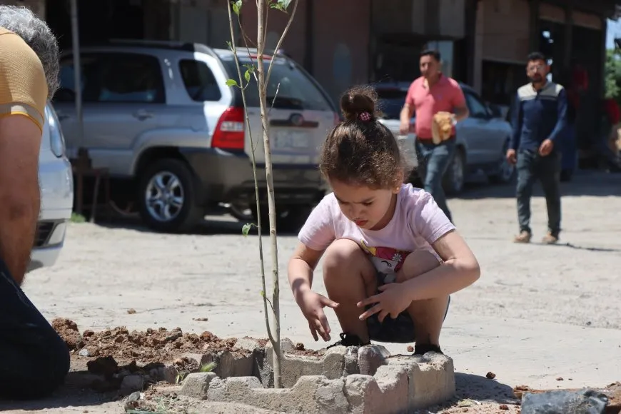 Li Qamişloyê 650 dar hatin çandin