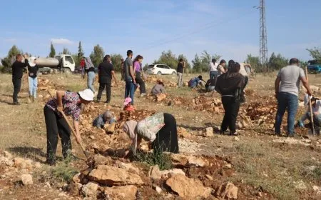 Di salvegera şehadeta Hozan Mizgîn de 500 dar hatin çandin