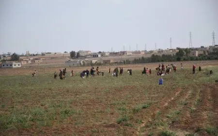Li Şedadê jî berhemên çandiniyê ne baş in
