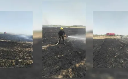 Li Reqayê agir bi zeviyeke ceh ket