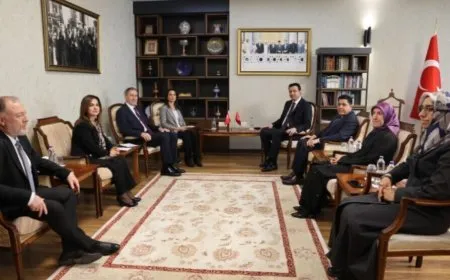 DEM Partî pêşniyara avakirina komîsyona Meclisê ya "bi rayeya tam" kir