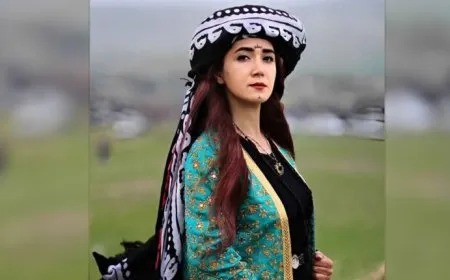 Rejîma Îranê çalakvaneke Kurd destgîr kir