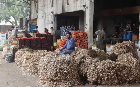 Sûka El Hal a Reqayê; navenda belavkirina sebze û fêkiyan li herêmê ye