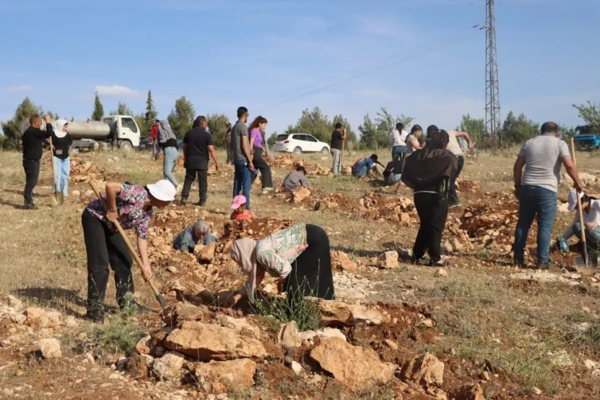 Di salvegera şehadeta Hozan Mizgîn de 500 dar hatin çandin