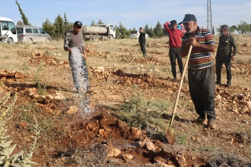 Di salvegera şehadeta Hozan Mizgîn de 500 dar hatin çandin