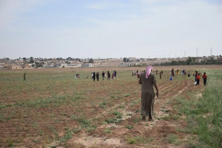 Li Şedadê jî berhemên çandiniyê ne baş in