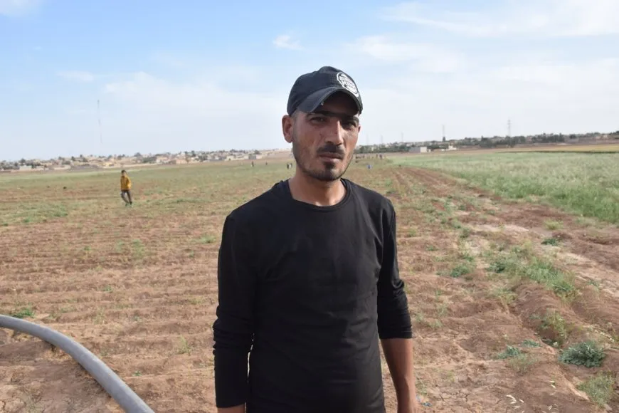 Li Şedadê jî berhemên çandiniyê ne baş in