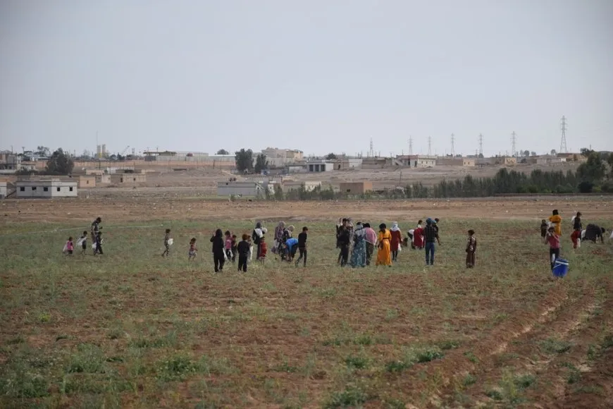 Li Şedadê jî berhemên çandiniyê ne baş in
