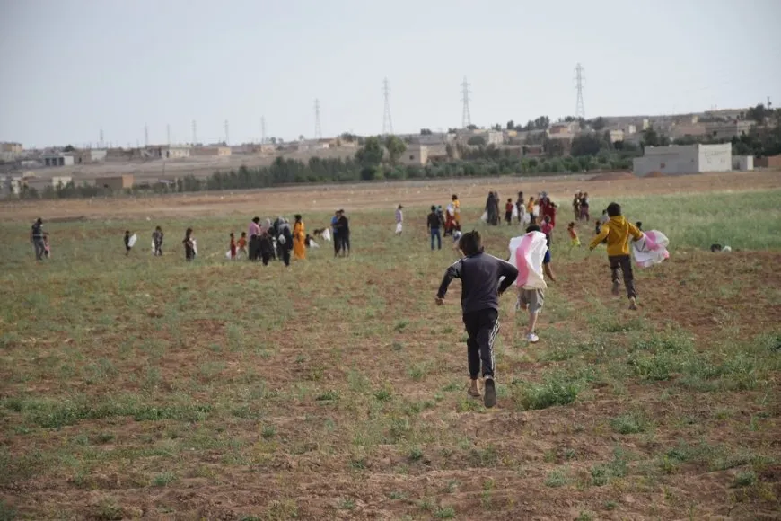 Li Şedadê jî berhemên çandiniyê ne baş in
