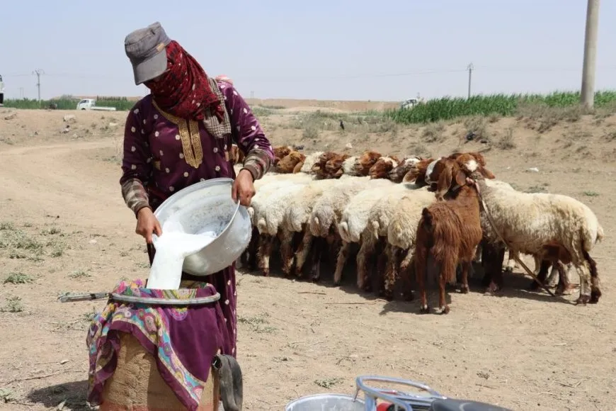 Ji Reqayê bi wêne jiyana gundan
