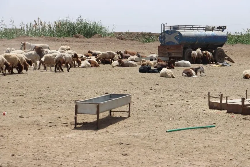 Ji Reqayê bi wêne jiyana gundan