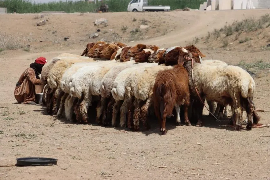 Ji Reqayê bi wêne jiyana gundan