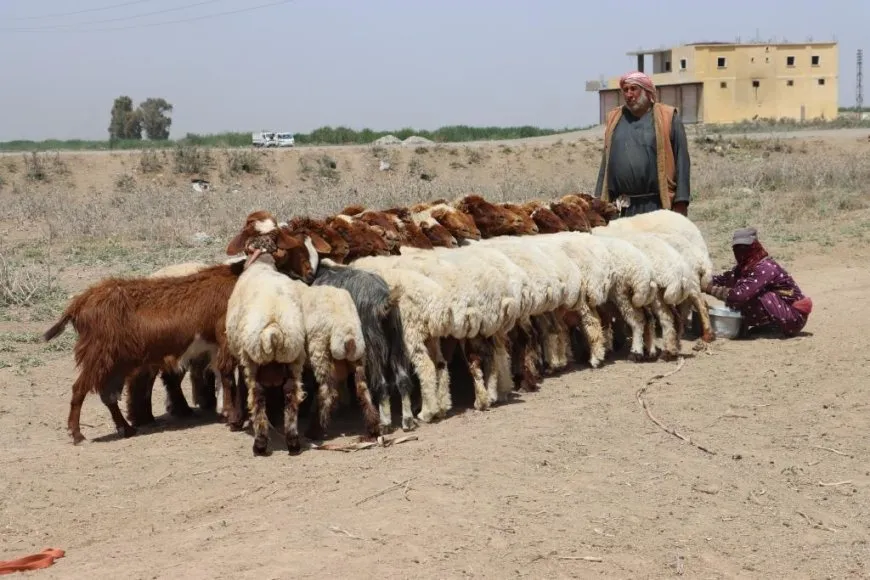 Ji Reqayê bi wêne jiyana gundan