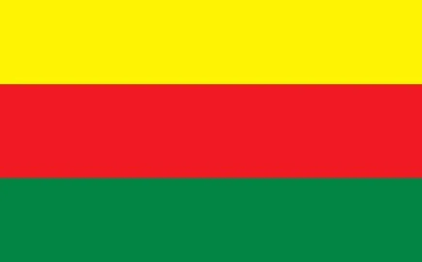 Ji TEV-DEM’ê peyama Roja Zimanê Kurdî