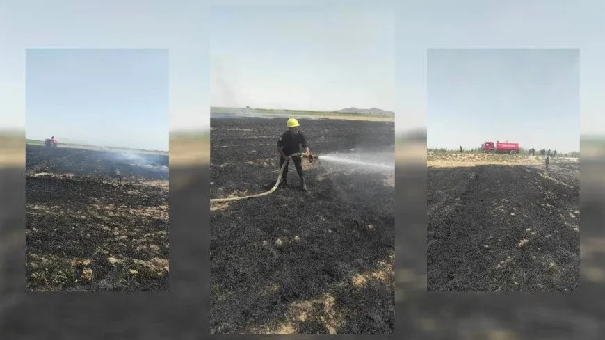 Li Reqayê agir bi zeviyeke ceh ket