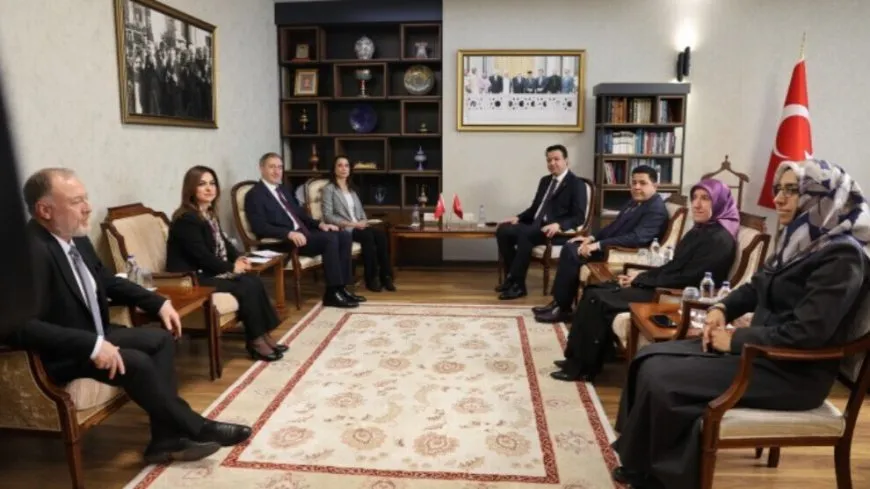 DEM Partî pêşniyara avakirina komîsyona Meclisê ya "bi rayeya tam" kir