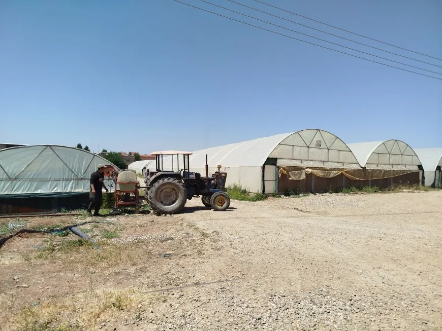 Koperatîfa Mîtra ya çandiniyê sal bi sal berferh dibe