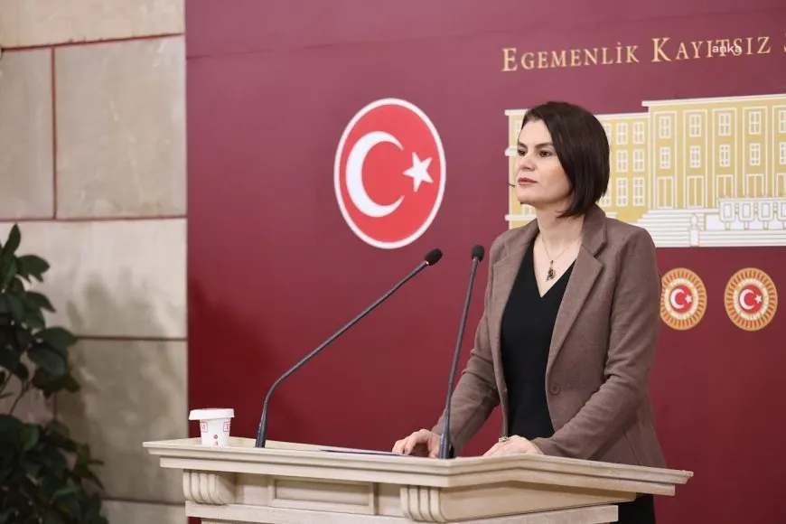 Gulcan Kaçmaz Sagyîgît: Berpirsyarî niha li ser dewlet û parlamentoyê ye