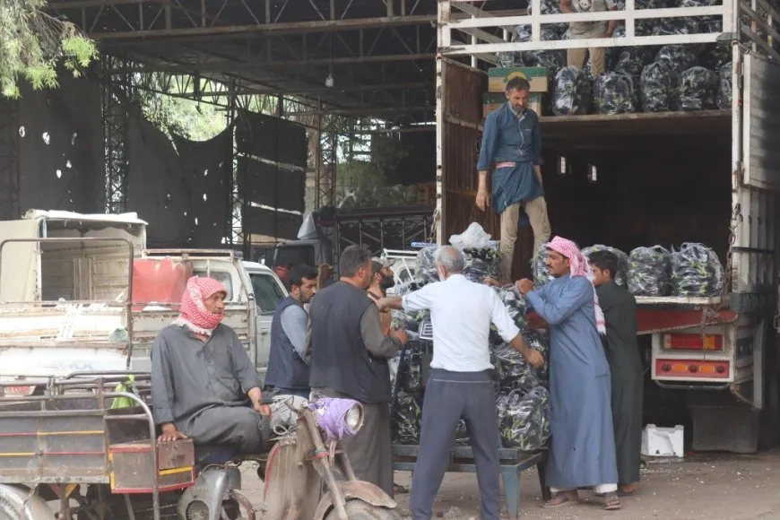 Sûka El Hal a Reqayê; navenda belavkirina sebze û fêkiyan li herêmê ye