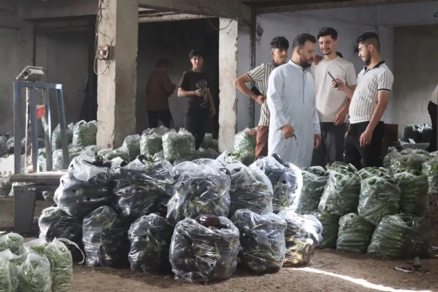Sûka El Hal a Reqayê; navenda belavkirina sebze û fêkiyan li herêmê ye