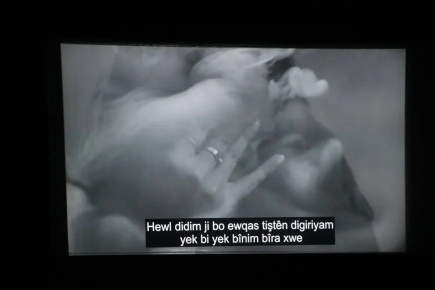 Mîhrîcana Nûjiyan di roja xwe ya dawî de didome