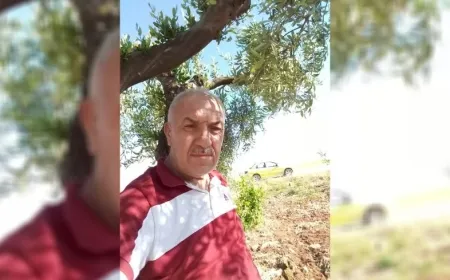 Çeteyên dewleta Tirk 2 Efrînî revandin