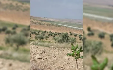 Leşkerên Tirk li gundekî Kobanê cotkar gulebaran kirin