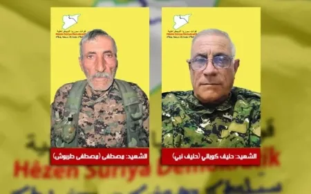 QSD: Hevrê Henîf Kobanê û Mistefa Terbûş şehîd bûn