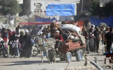 Hejmara kesên bi zorê koçber bûne bû nîzê 122 milyon kesî
