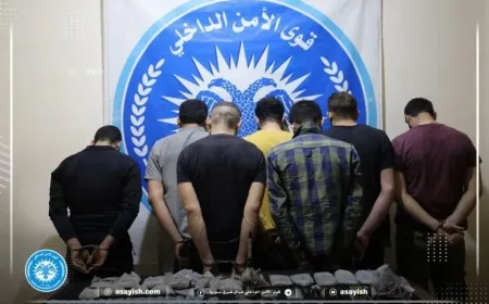 Li Tebqayê bazirganên çek û hişbirê hatin girtin