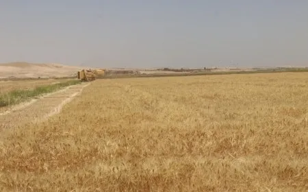 Cotkar daxwaza piştgiriyê ji saziyên têkildar dikin