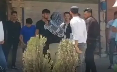 Çeteyan li Efrînê xwepêşandêr revandin