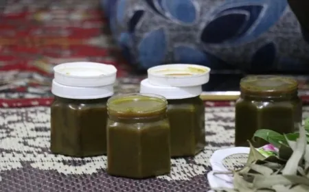 Ji Efrîn heta Tebqayê malbata Reşo dermankirina alternatîf dike