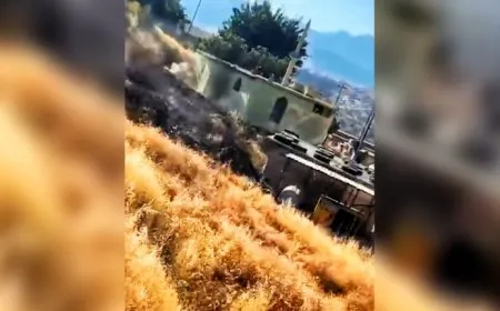 Artêşa dagirker li Amêdiyê mizgeftek hedef girt