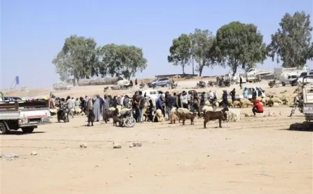 Bilindbûna buhayên êm barê sewalkaran giran kiriye