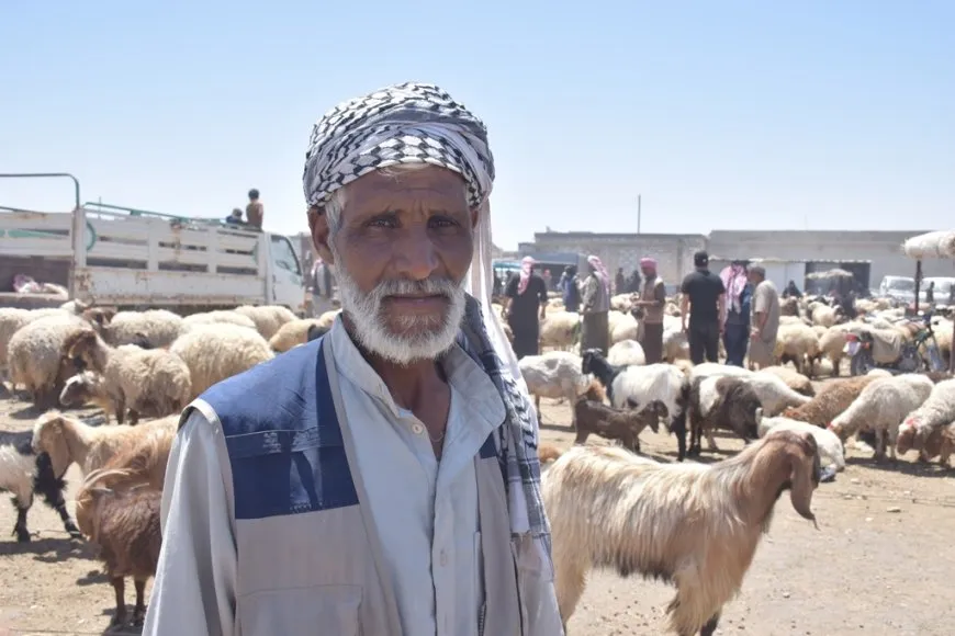 Beriya cejnê buhayên sewalan li bazaran kêm bûne