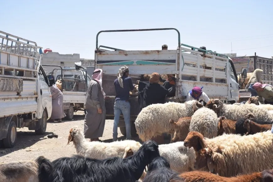 Beriya cejnê buhayên sewalan li bazaran kêm bûne