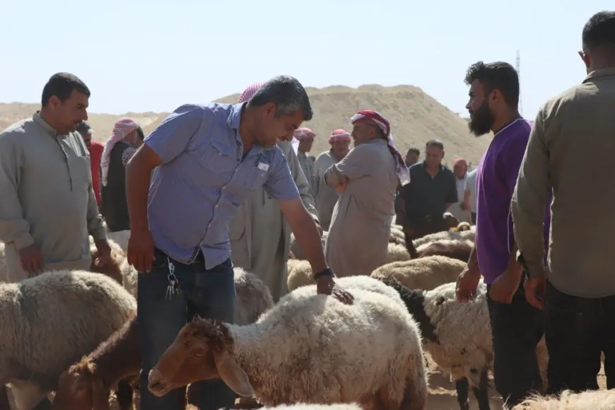 Ruxmî astengiyên aborî amadekarî û rêûresmên Cejna Qurbanê didomin