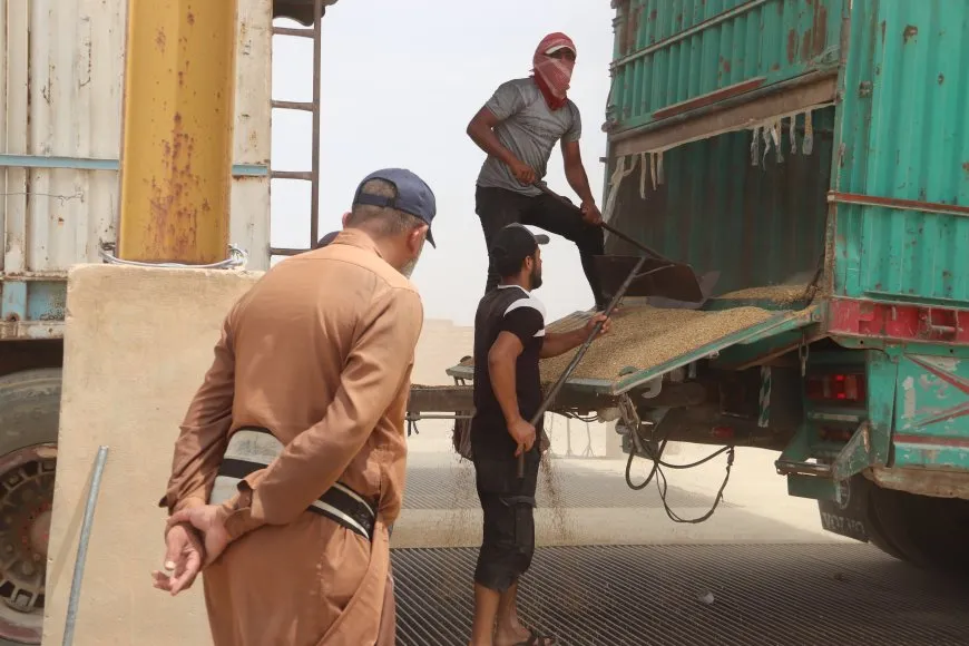 Embarên Reqayê 8 hezar ton genim wergirtiye